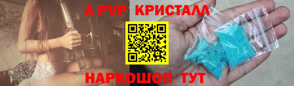 Alfa_PVP СК КРИС Гатчина