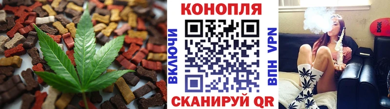 площадка телеграм  Гатчина  Cannafood марихуана 