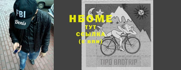стафф Богданович