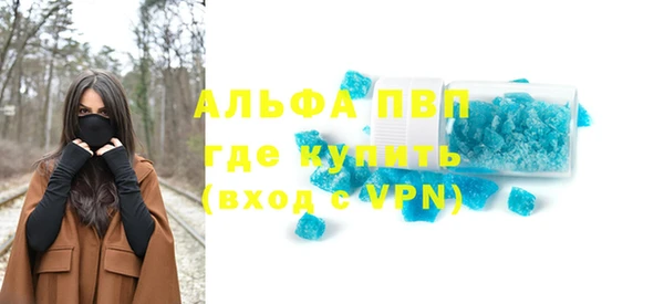 стафф Богданович