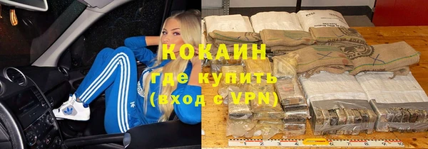стафф Богданович