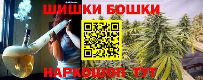 хмурый Бийск