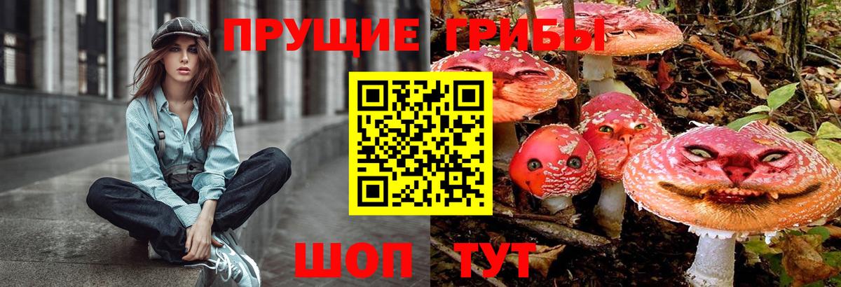 Псилоцибиновые грибы ЛСД Гатчина
