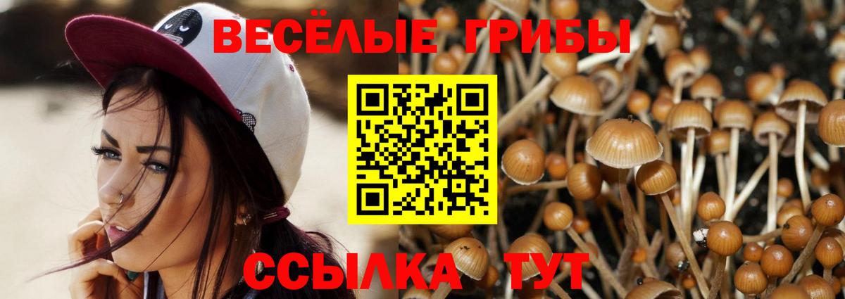 Галлюциногенные грибы мухоморы  Вход с VPN  Гатчина 